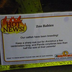 Signage in Underwater World