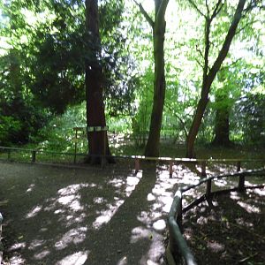 Walk-through Pheasant Enclosure