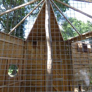 Burrowing Owl Aviary in The Terry Prachett Owl Parliment