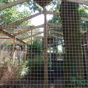 Spectacled Owl Aviary in the Terry Prachett Owl Aviary