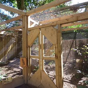 Striped Owl Aviary in The Terry Prachett Owl Aviary