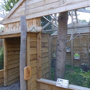 Barn Owl Aviary at The Terry Prachett Owl Aviary