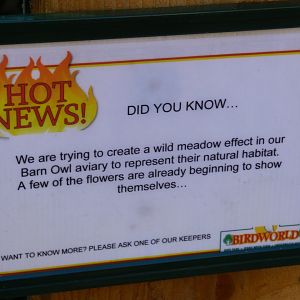 Signage on Barn Owl Aviary