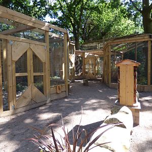 View of The Terry Prachett Owl Aviary