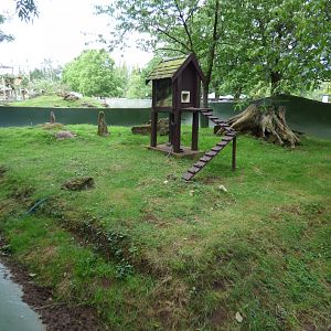 Second Meerkat Enclosure