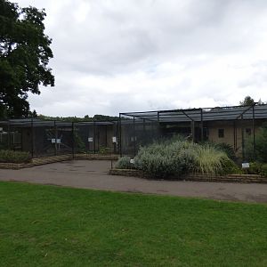 Parrot Aviaries