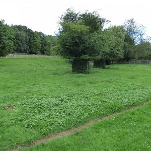 Reindeer and Beennet's Wallaby Paddock