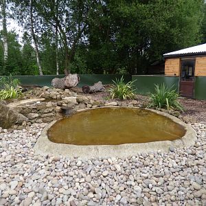 Asian Short Clawed Otter Enclosure
