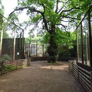 View of Ground Hornbill and Crane Aviaries