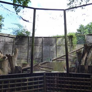 Southern Ground Hornbill Aviary