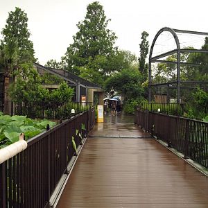 Bridge to Madagascar collection