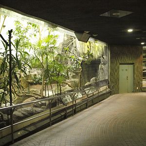 Lower section of bird house