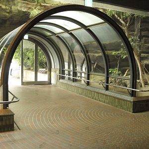 Entrance to lower section of bird house