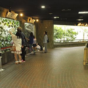 Upper section of bird house