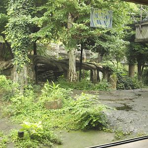 Sumatran tiger enclosure