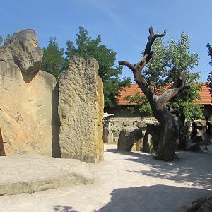 Stone & Tree Place - July/2017