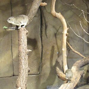 Climbers - July/2017