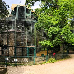 Gorilla Pavilion : Port Lympne : 22 Jul 2017