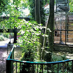 Gorilla Pavilion : Port Lympne : 22 Jul 2017