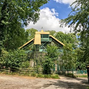 Gorilla Pavilion : Port Lympne : 22 Jul 2017