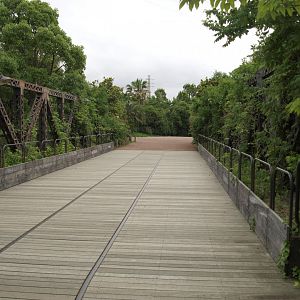 Bridge to African tropical rain forest