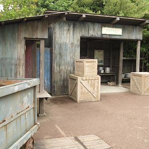 Entry to African tropical rain forest
