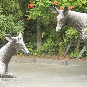 Okapi statues