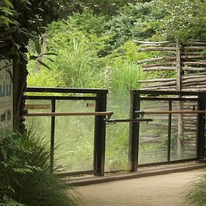 Second viewing area for chimpanzees
