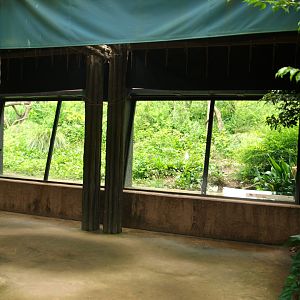 Viewing area for chimpanzees