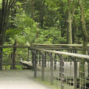 Walkway for Asian primates