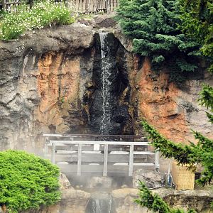 Japanese black bear enclosure