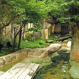 Eurasian otter enclosure