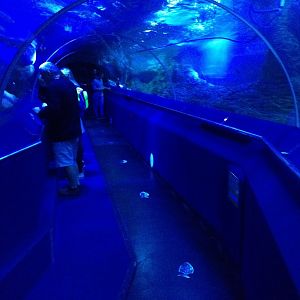 Shipwreck Coast Tunnel