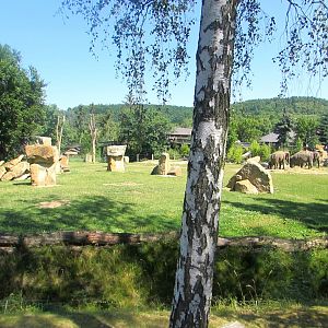 Part on the Elephant enclosure - July/2017