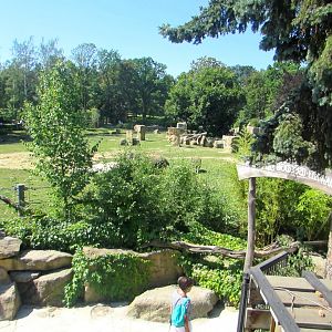 Elephants enclosure - July/2017