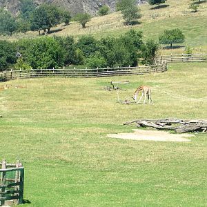 Savanna (1) - July/2017