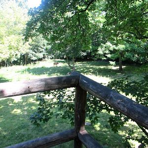 Maned Wolves enclosure - July/2017