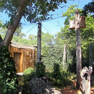 Australian Birds walktrough aviary - July/2017