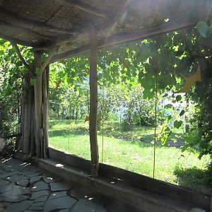 Observation window. Southern Cassowary enclosure. - July/2017