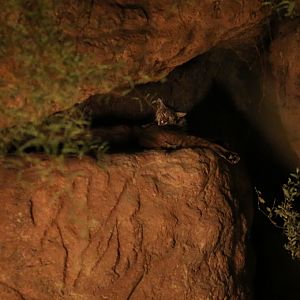 Summer Saturday Nights