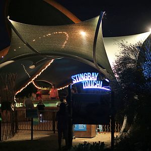 Summer Saturday Nights