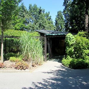 Little Tiger Cat (Oncilla) exhibition - July/2017