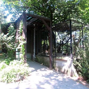 Tayra exhibition - July/2017