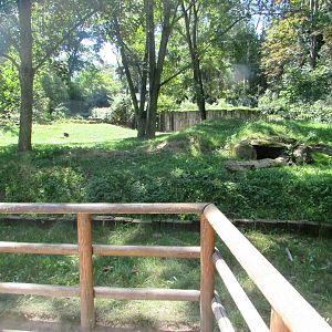 Brown Hyenas enclosure - July/2017
