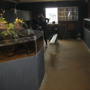 JyllandsAkvariet - Tropical exhibition