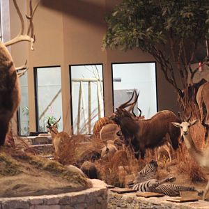 Partial View of Museum