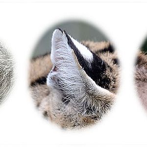 Photo Quiz August 2017