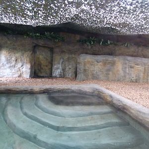 Indoor Malayan Tapir Pool