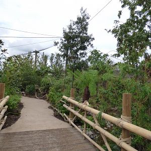 View of free-flight area