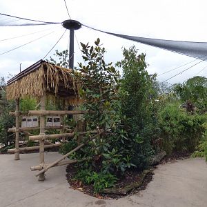 Inside the aviary